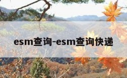 esm查询-esm查询快递